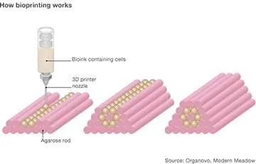 Bioprinting Bioprinting
